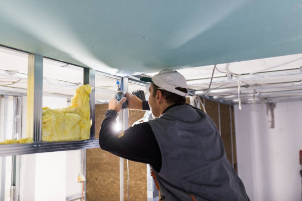 Best Cellulose Insulation in Mount Healthy Heights, OH