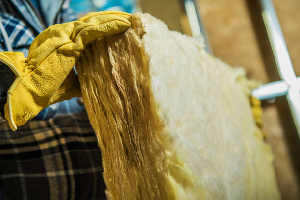 Best Eco-Friendly Insulation in Mount Healthy Heights, OH
