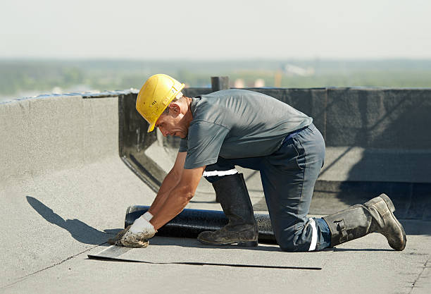 Best Cellulose Insulation in Mount Healthy Heights, OH